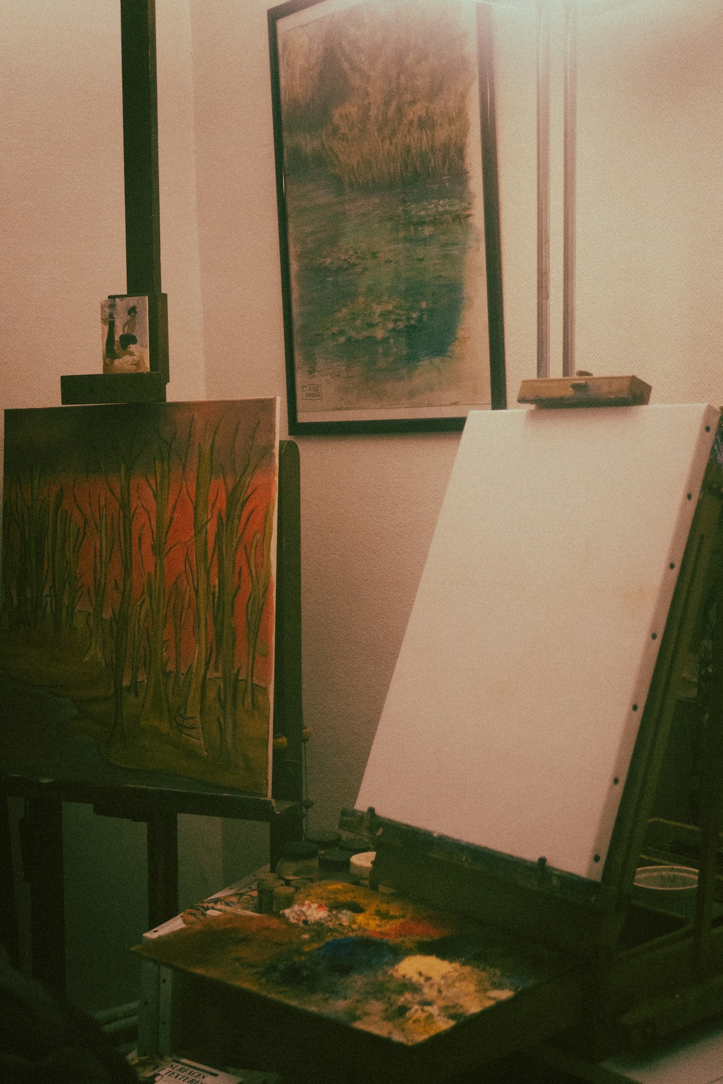 Why Polapit Tamar’s Artwork Resonates Globally